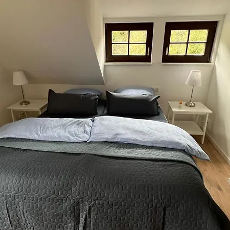 Rauschenbachmuehle * Mildenau