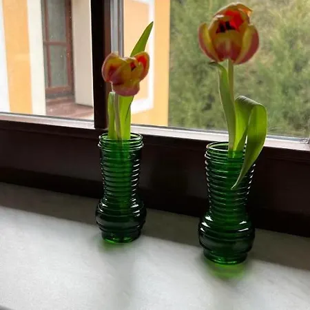 Rauschenbachmuehle Appartement