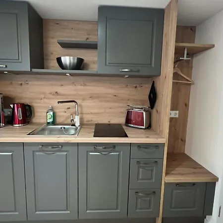 Rauschenbachmühle Apartamento Mildenau