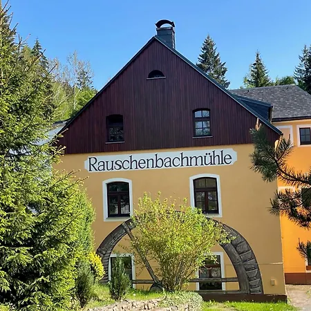Rauschenbachmuehle Апартаменты Mildenau