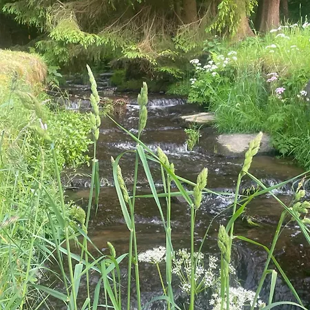 Rauschenbachmuehle * Mildenau