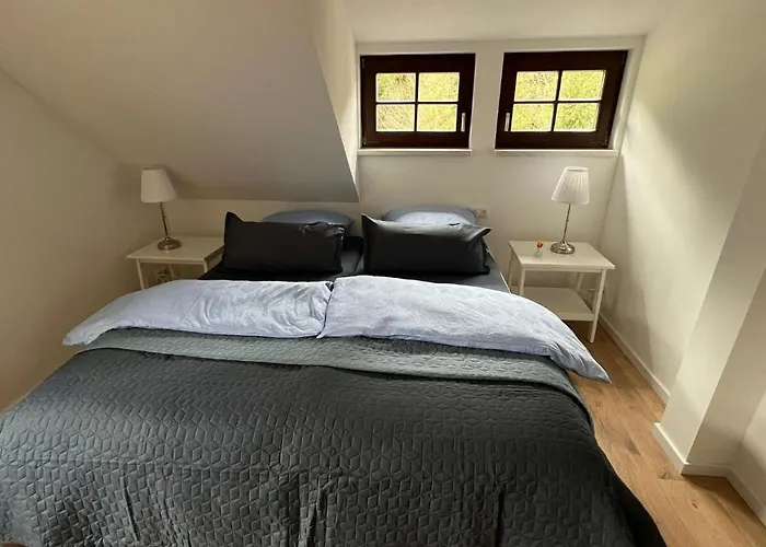 Rauschenbachmuehle * Mildenau