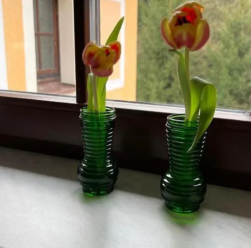 Rauschenbachmuehle شقة