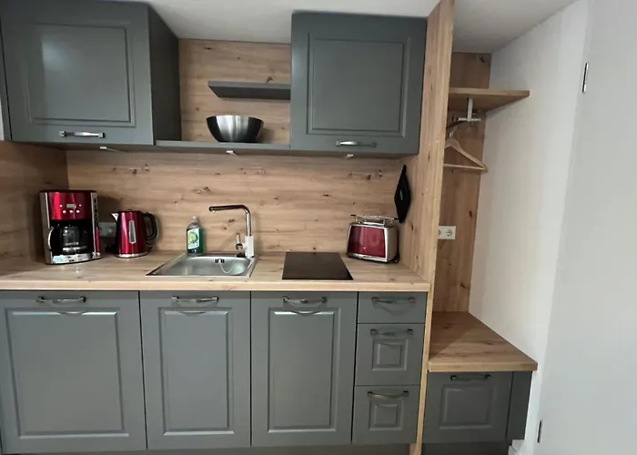 Rauschenbachmuehle شقة Mildenau