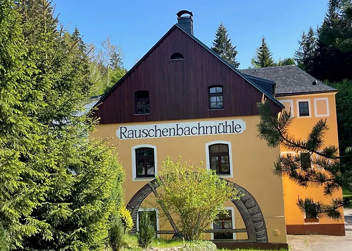 Rauschenbachmuehle Apartment Mildenau